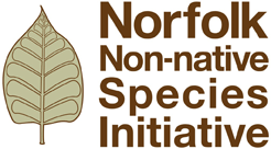 Norfolk Non native species initiative logo