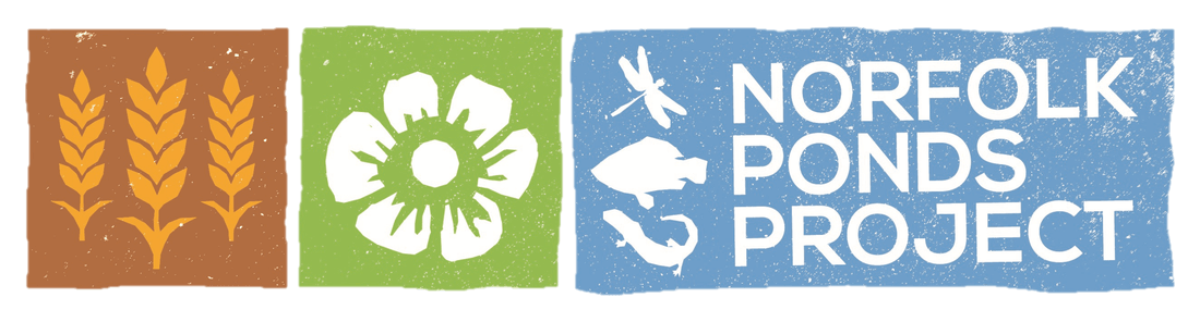 Norfolk Ponds Project logo